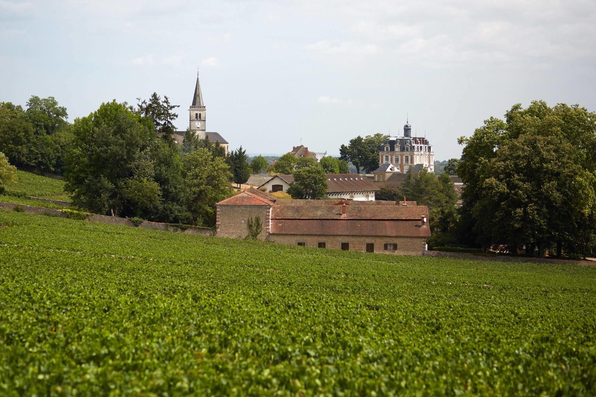 Rully  Chateau Saint-Michel - Cercle Des Grands Crus酒店 外观 照片